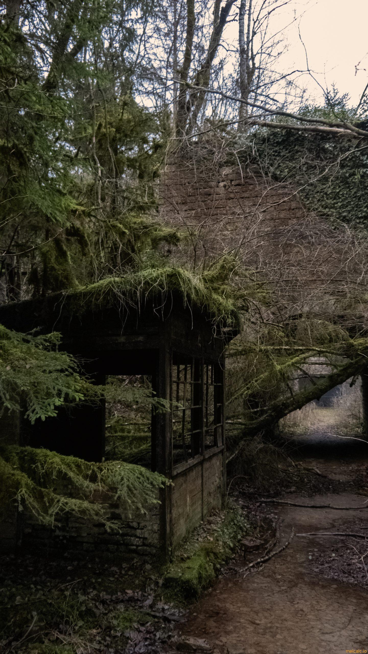 Ruinne beim Holleschbierg