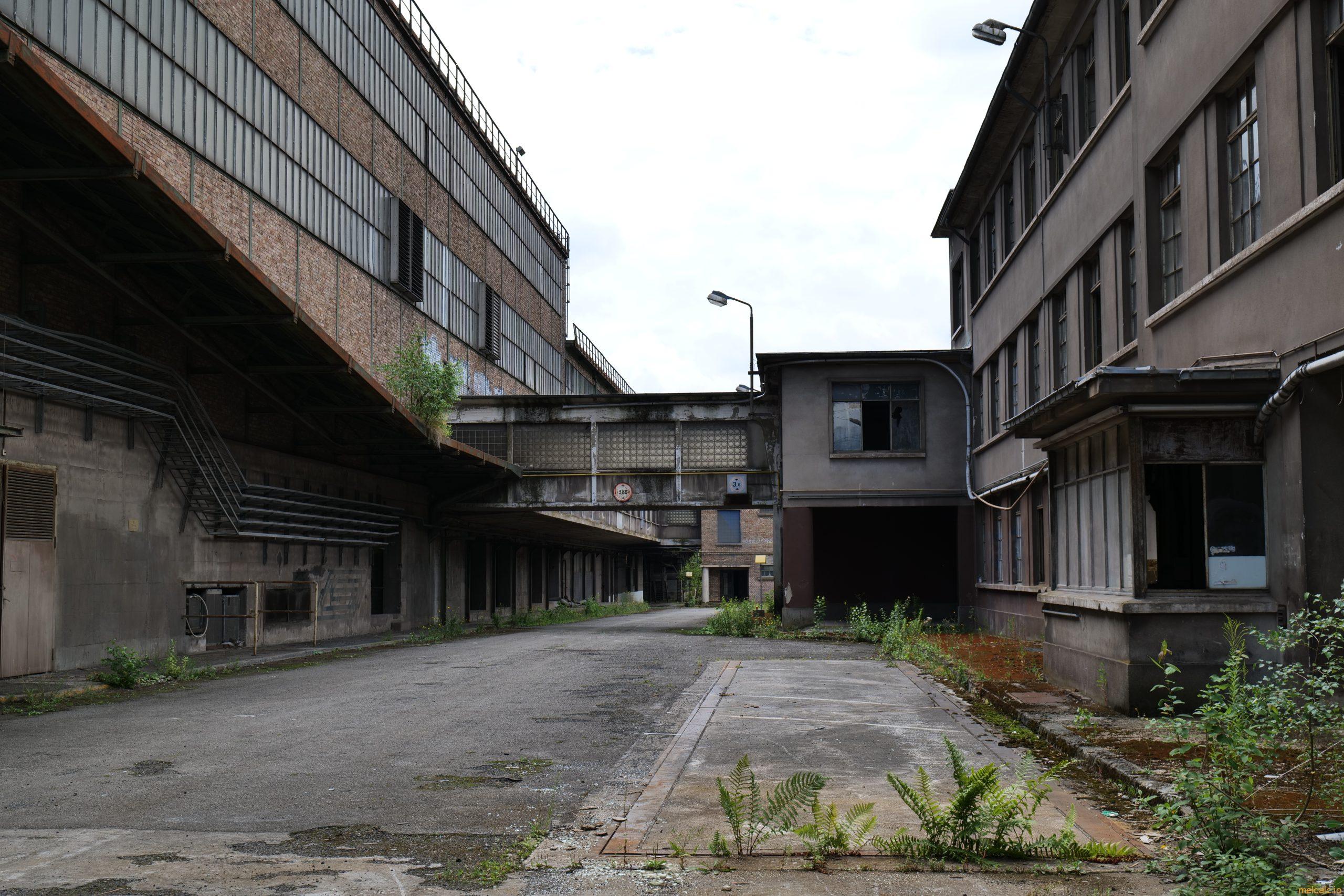 Metzeschmelz x SU€N CA$H